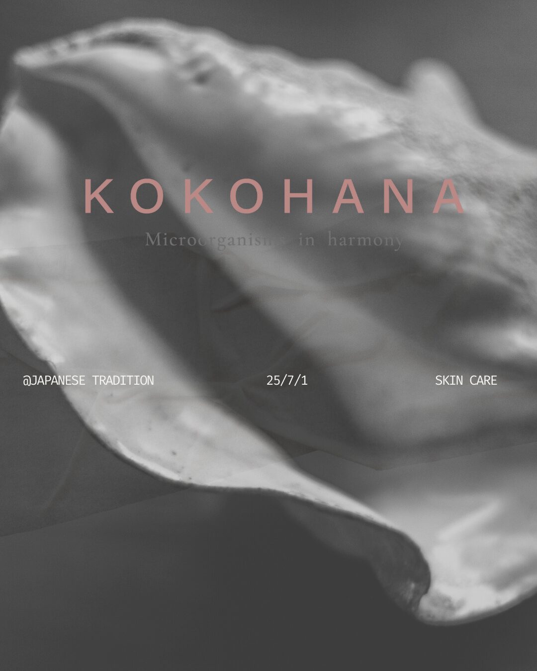 肌環境を整える食事と美肌を保つ食習慣