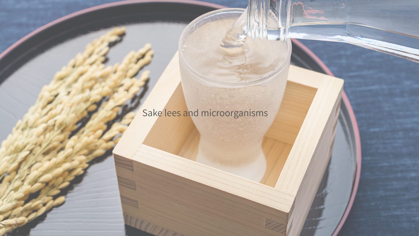 酒粕の微生物がもたらす美容・健康メリット